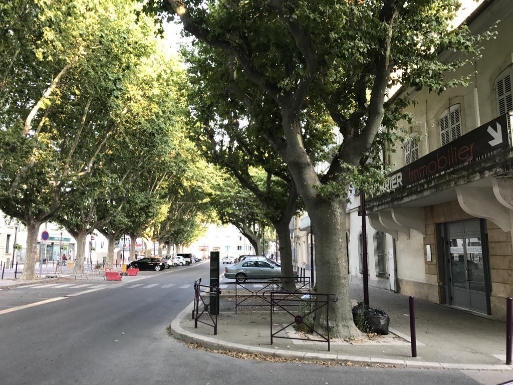 Appartements Entre Provence Et Camargue Tarascon Bagian luar foto